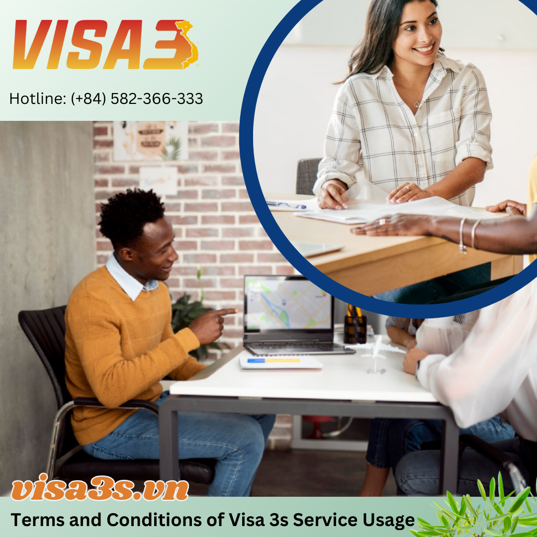 Terms and Conditions for Secure Visa3s Services