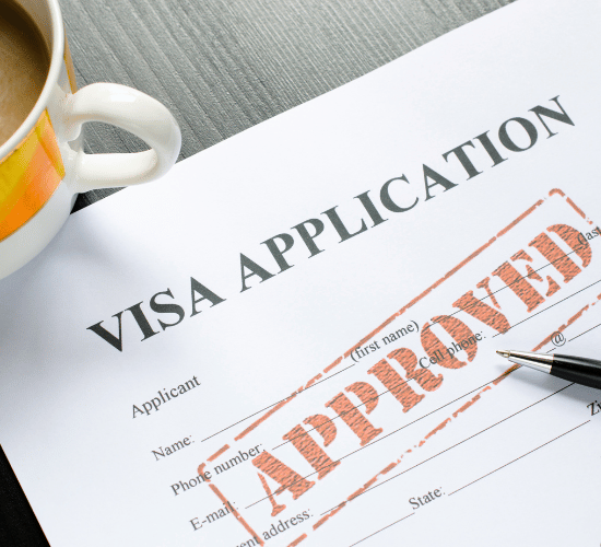 100% successful entry service for foreigners’ visa