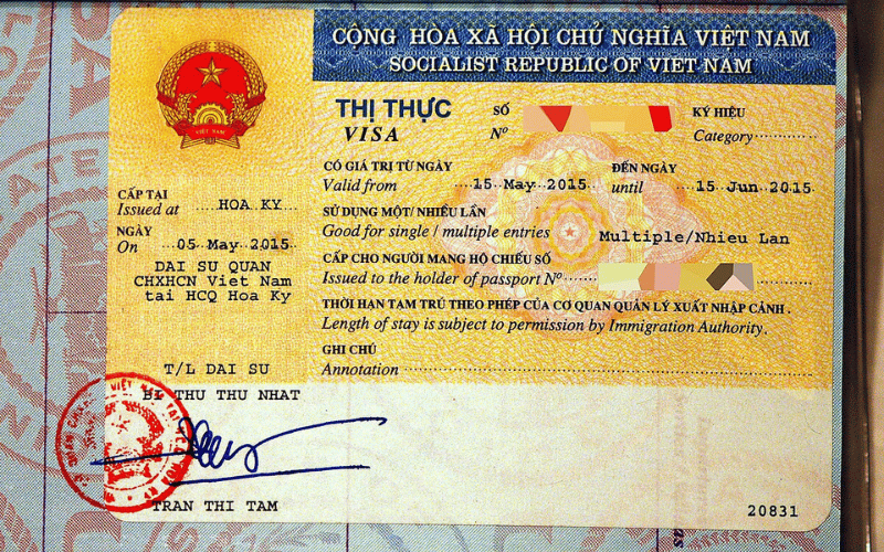 Why Choosing the Right Visa Category Matters