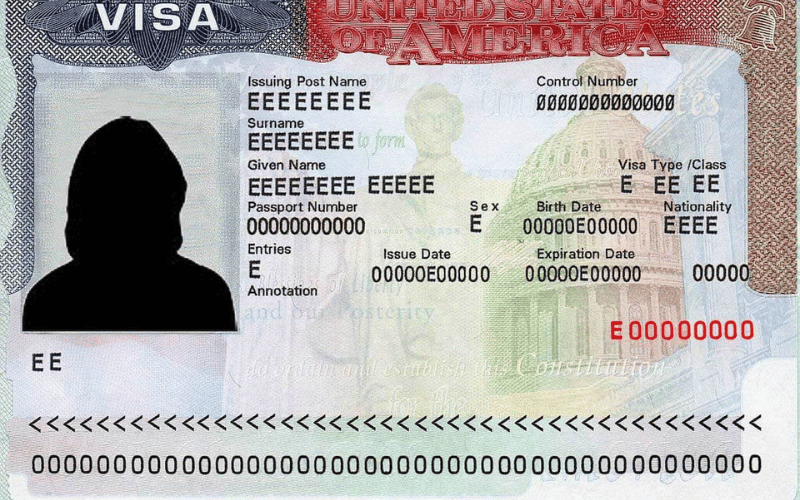 Why You May Need an Urgent Visa Why You May Need an Urgent Visa